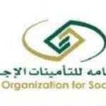 الرعاية الاجتماعية لأصحاب المعاشات.. القانون يحدد المزايا وآليات الاستحقاق
