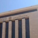 دعم الجاليات وحماية الهوية المصرية.. اعرف حقوق المصريين بالخارج بقانون الهجرة المصريين