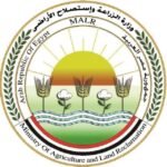 الزراعة: دعوات الامتناع عن إطعام الكلاب الضالة سلوك مخالف للشرع والقانون
