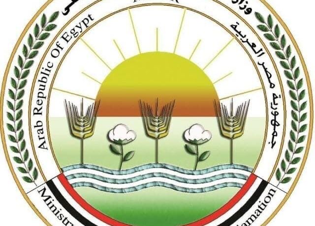 الزراعة: دعوات الامتناع عن إطعام الكلاب الضالة سلوك مخالف للشرع والقانون