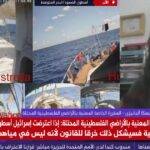 مقررة أممية: اعتراض إسرائيل لأسطول الصمود خرق للقانون الدولي واعتداء على سيادة الدول (فيديو)